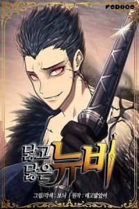 Novato roto y desgastado